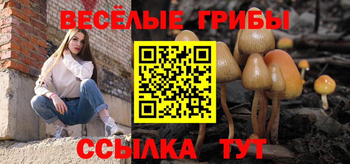 Галлюциногенные грибы Psilocybe  Галлюциногенные грибы мухоморы  Сунжа  Вход с VPN 